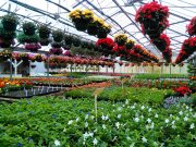 Christensen Florist & Greenhouses