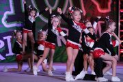 Ultimate Performance Gymnastics & Cheer